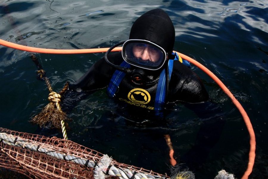 Nuevo Proyecto de Ley que crea Contrato de Buceo y Actividades Conexas